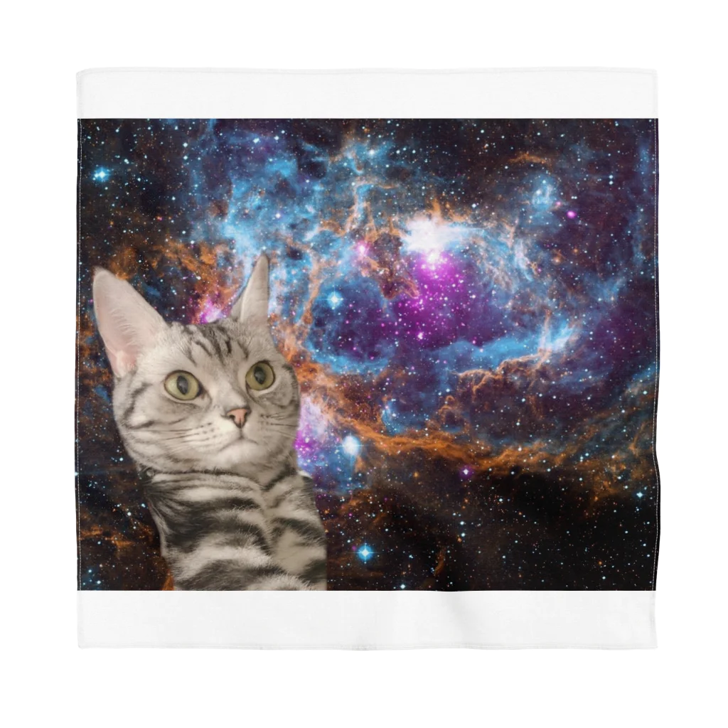 🥐🍞ちょきぷり🍞🥐のうちの宇宙猫 Bandana