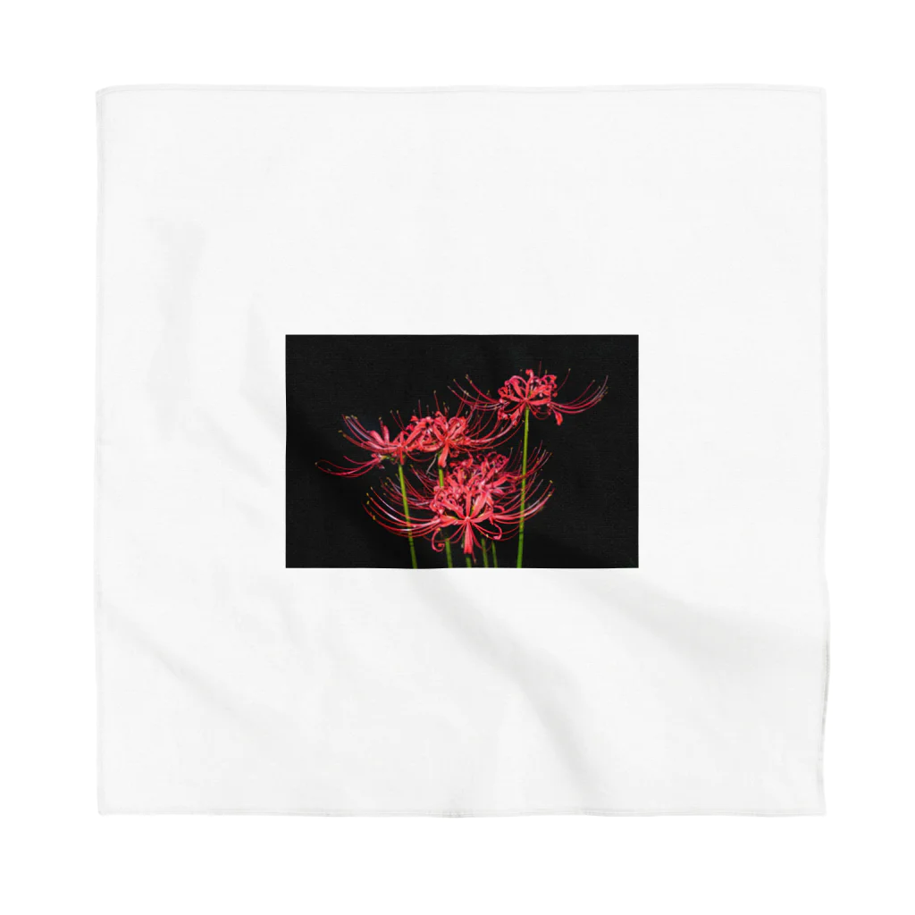 420iloveyouの紅花 Bandana