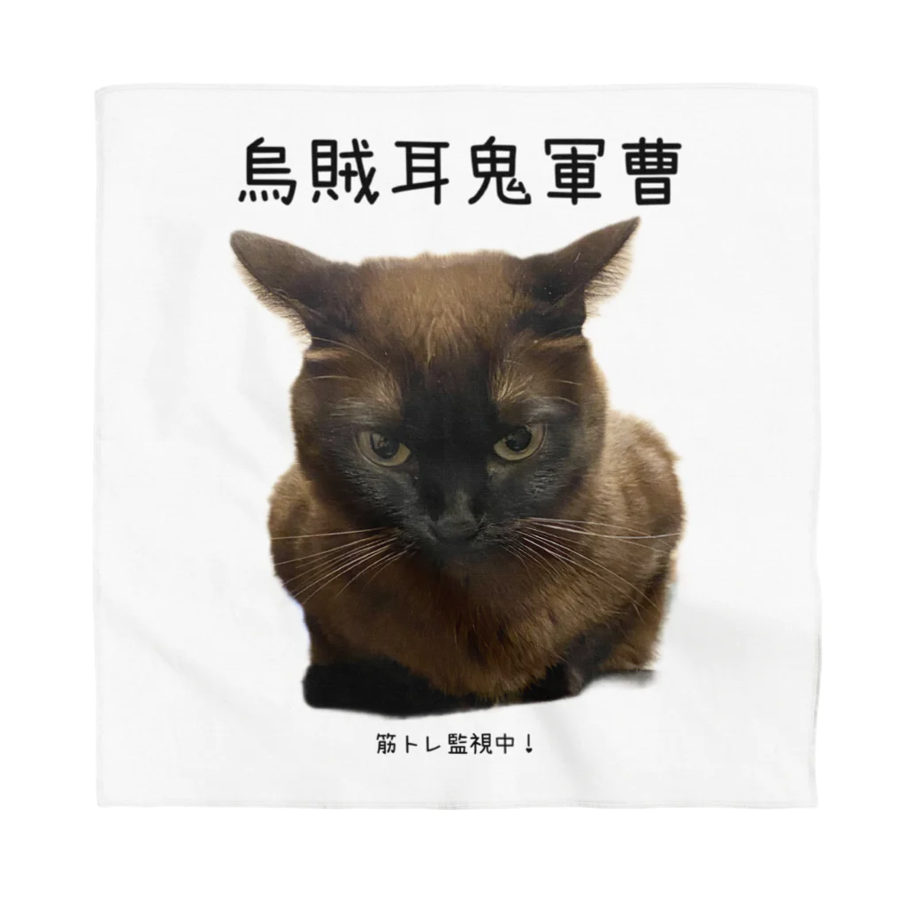 茶猫革命〜Chaneko de Revolution 〜の烏賊耳鬼軍曹 Bandana