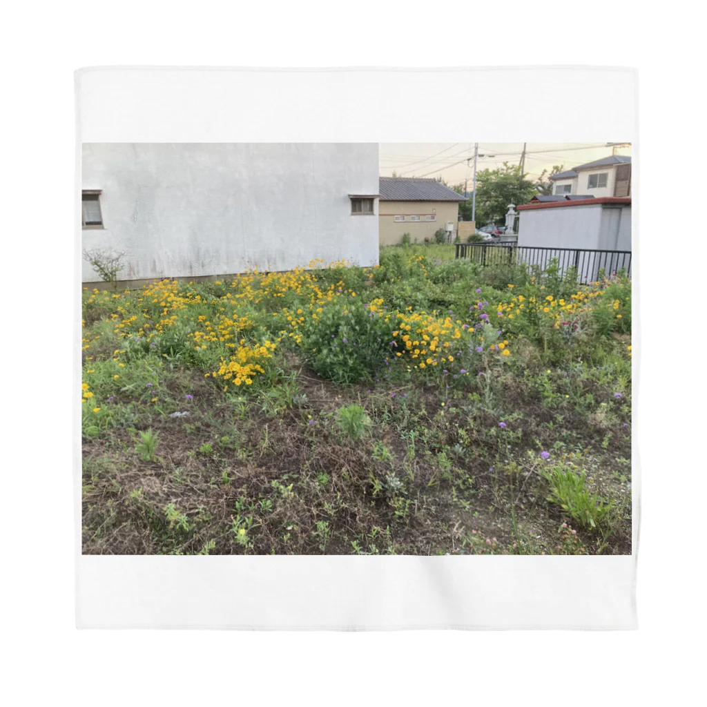 🧫のありあまる空き地の花 バンダナ