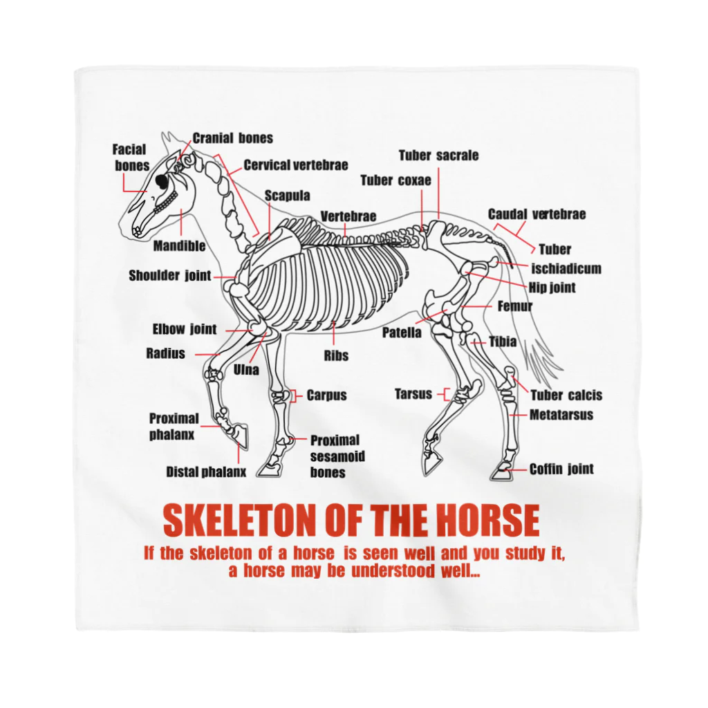 こさぶぅ店長の馬グッズラボの馬の骨スケルトンホース・SKELETON HORSE Bandana