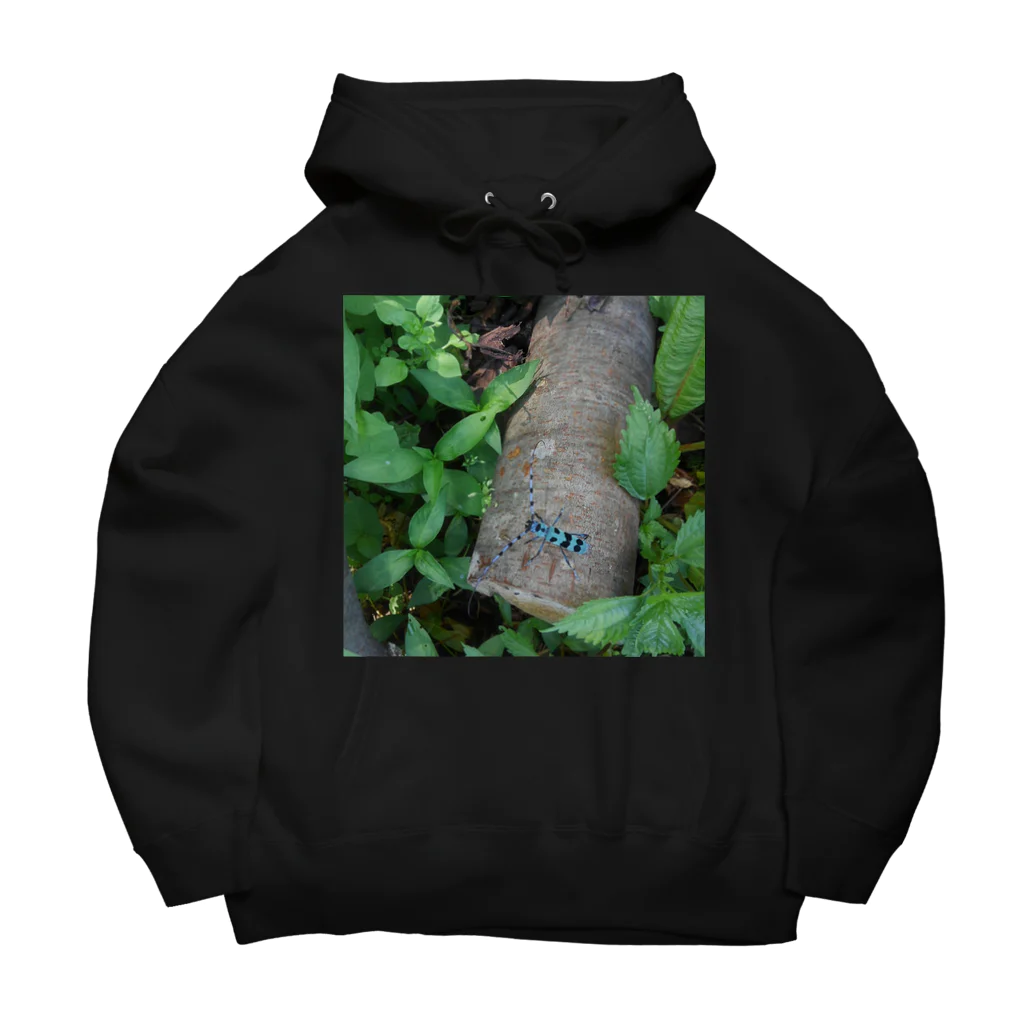 ミクロのルリボシカミキリくん Big Hoodie