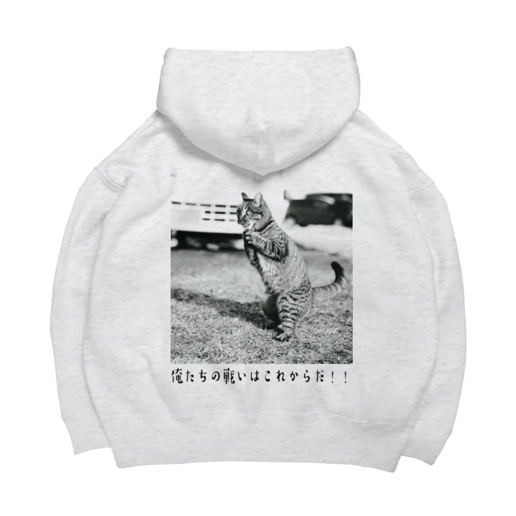 牧場猫の最終回猫 Big Hoodie