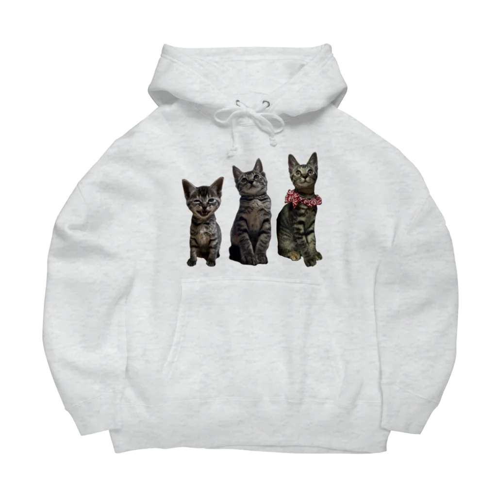 ブティックNENE🐾のネネの仔猫時代 Big Hoodie