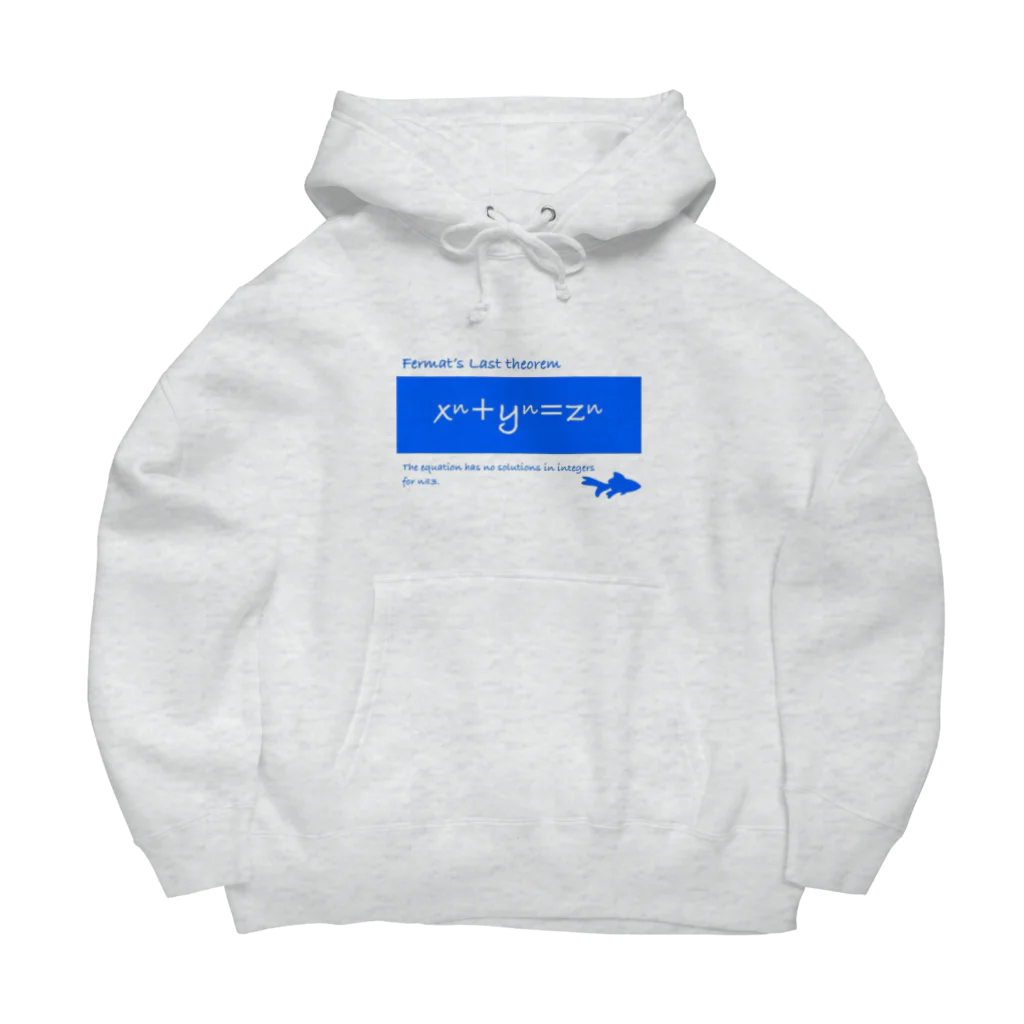 えこーるのフェルマーの最終定理 Big Hoodie