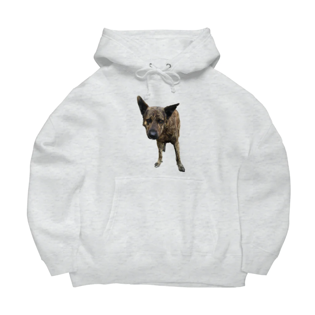 EYE CANDYの愛犬注意 Big Hoodie