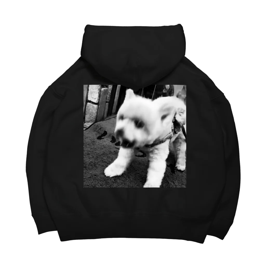 LOCOWORKSのブレた犬（ポメ） Big Hoodie