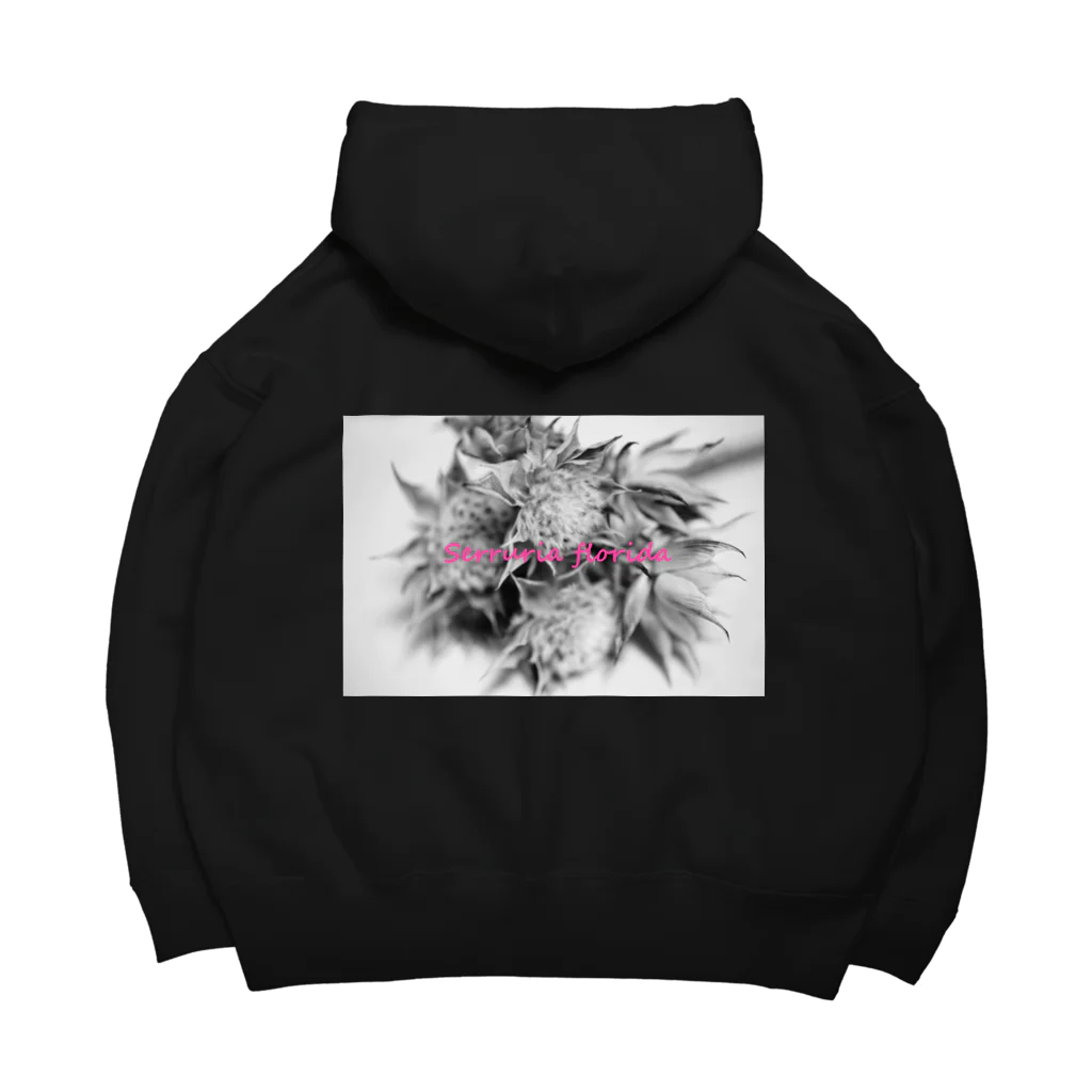 photo-kiokuのセルリア Big Hoodie