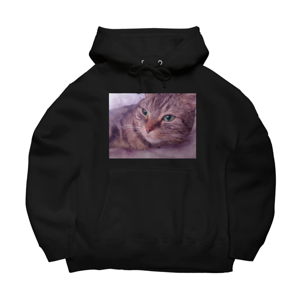 MUYU /  Animal ArtistのMemories with my pet １ Big Hoodie