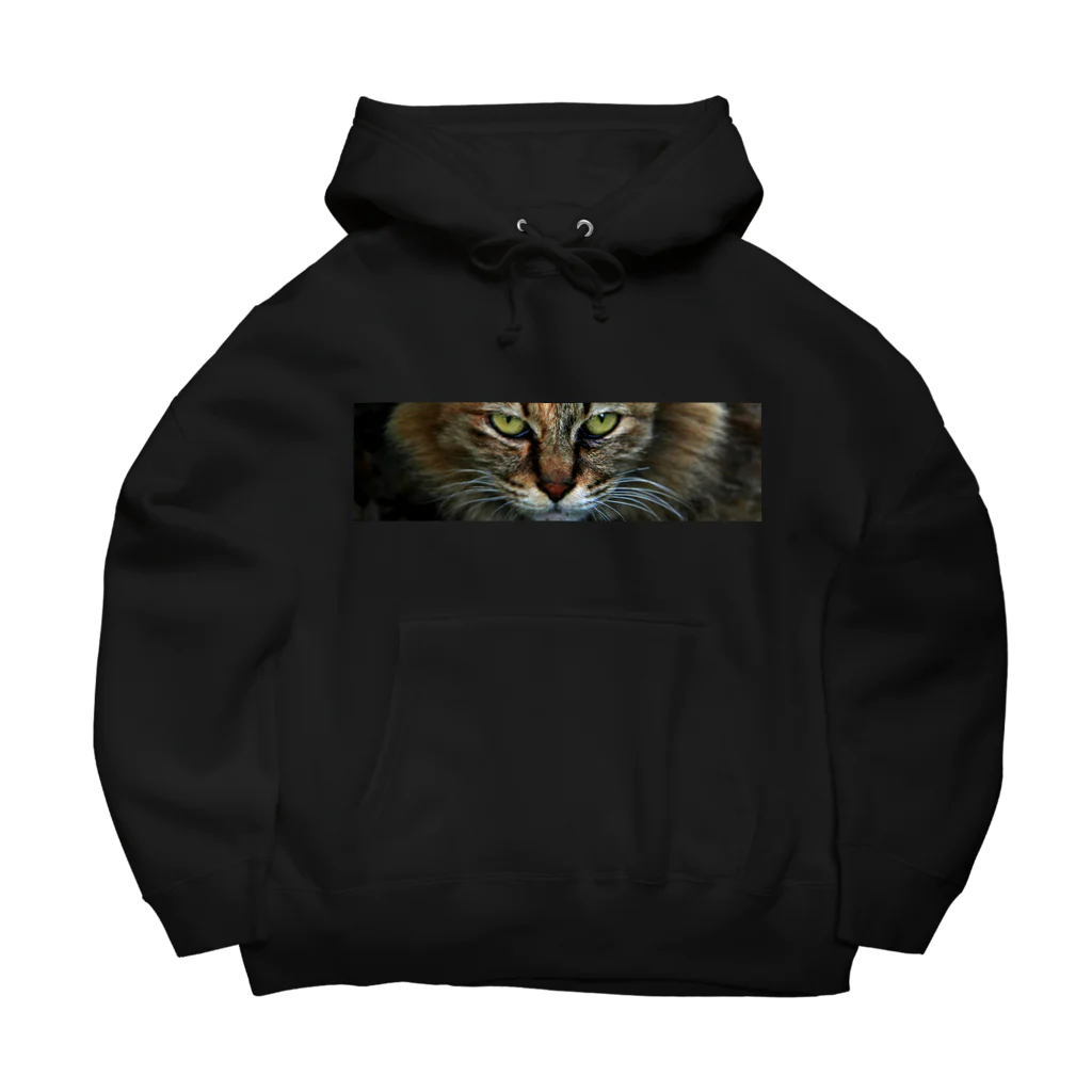 308GTBooの野良猫 Big Hoodie