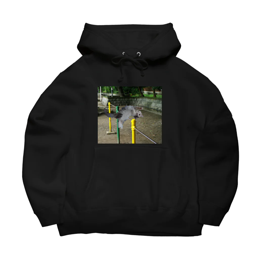 おもち屋さんの鉄棒で背面跳びするねこ Big Hoodie