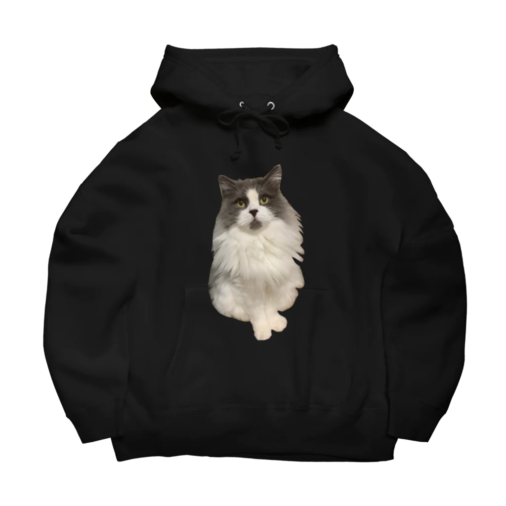 いけにゃんのゆるっとのもふもふのねこ Big Hoodie