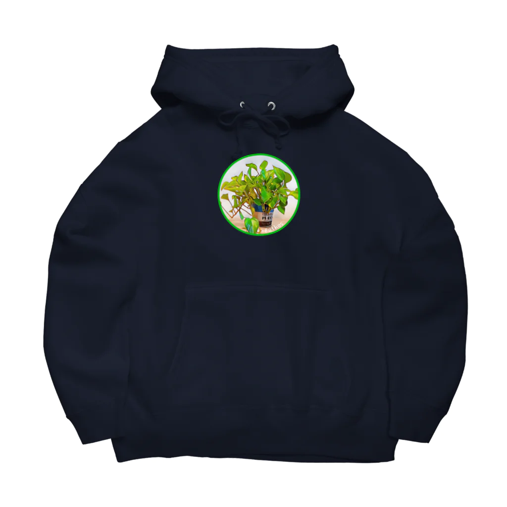 Umageのポトス（pothos）観葉植物 Big Hoodie