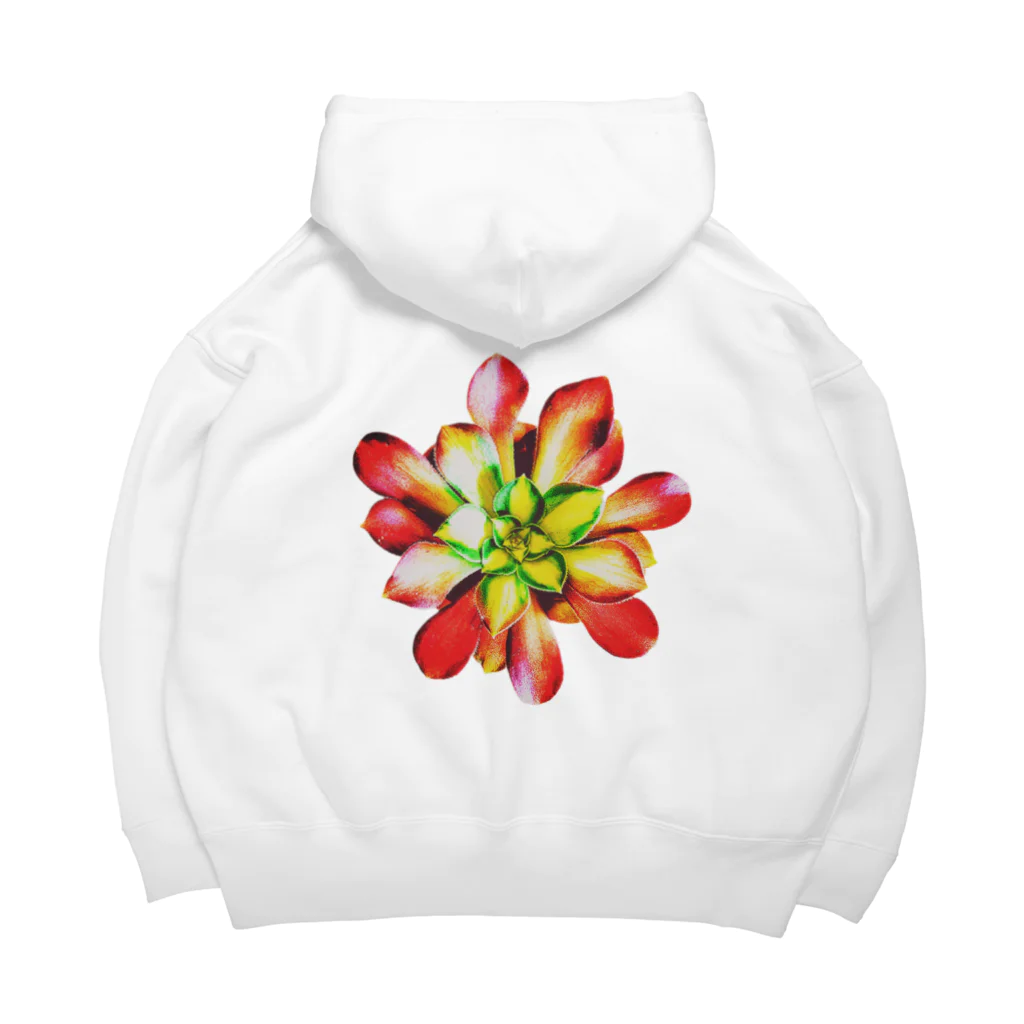 JaachanのSucculents series アエオニウム Big Hoodie