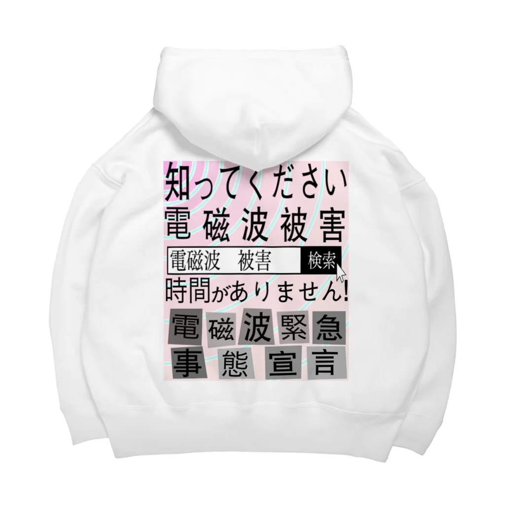 集団ストーカーと戦う会の電磁波被害啓蒙 Big Hoodie