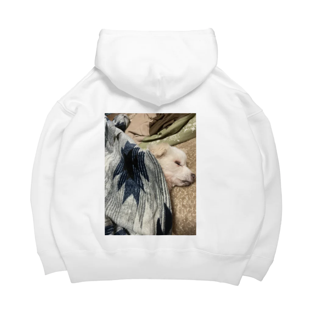 翡翠の犬もダメにするこたつ Big Hoodie