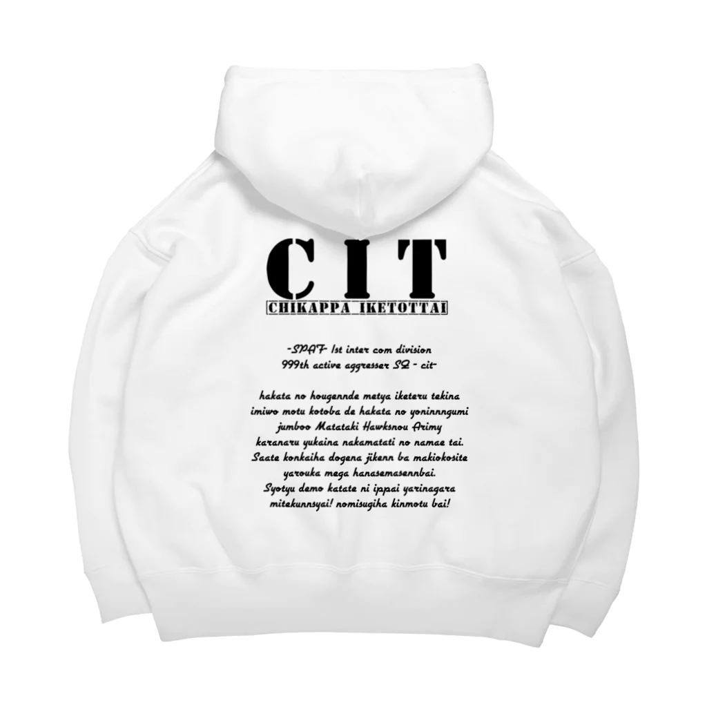 CITグッズ売り場のスタンダードロゴ Big Hoodie