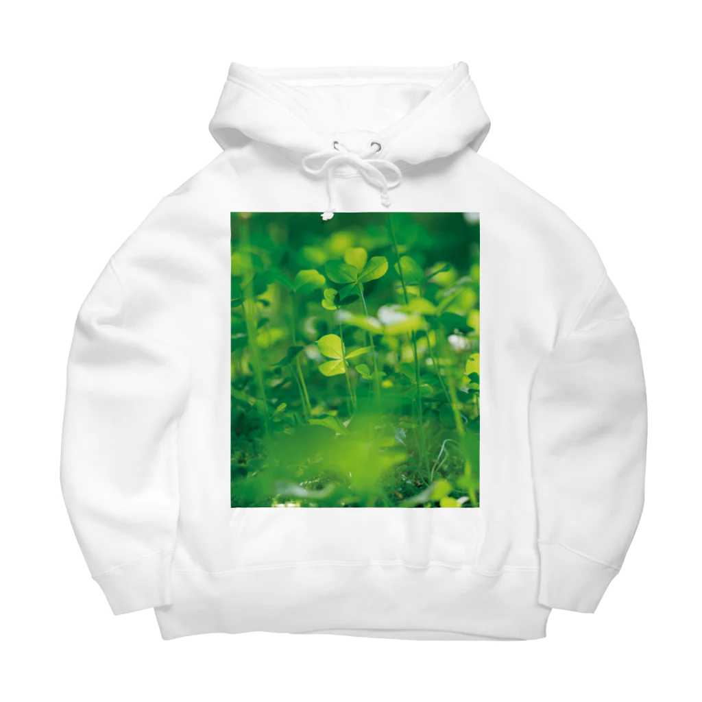 akane_art（茜音工房）の癒しの風景（クローバー） Big Hoodie