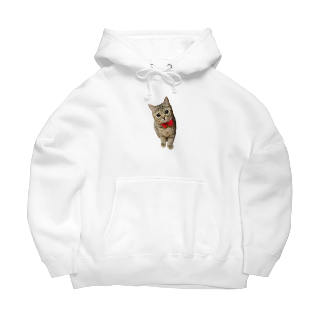 チャプチェ🐾【癒し処】のあざといチャプチェ Big Hoodie