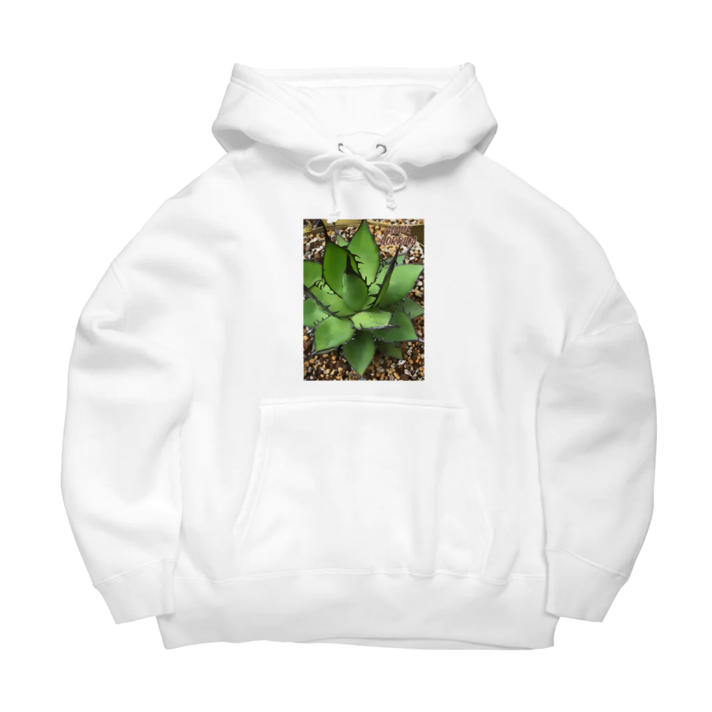 シアン猫の植物図鑑のアガベ ホリダ(加工Ｖｅｒ．) Big Hoodie