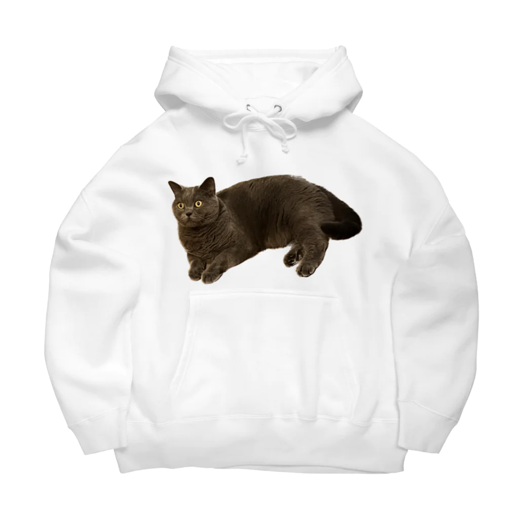 rice_avenueの猫のルパンくん Big Hoodie