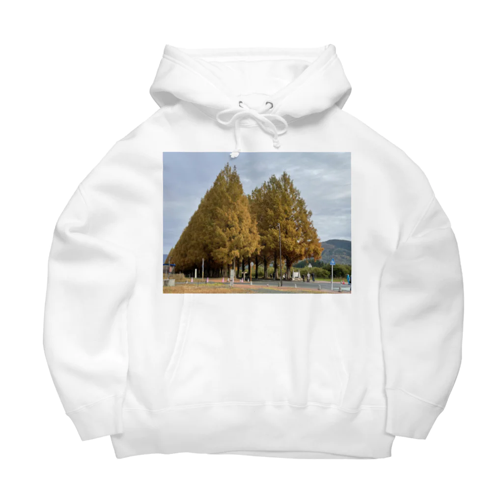 トロールショップの紅葉の季節の並木道 Big Hoodie