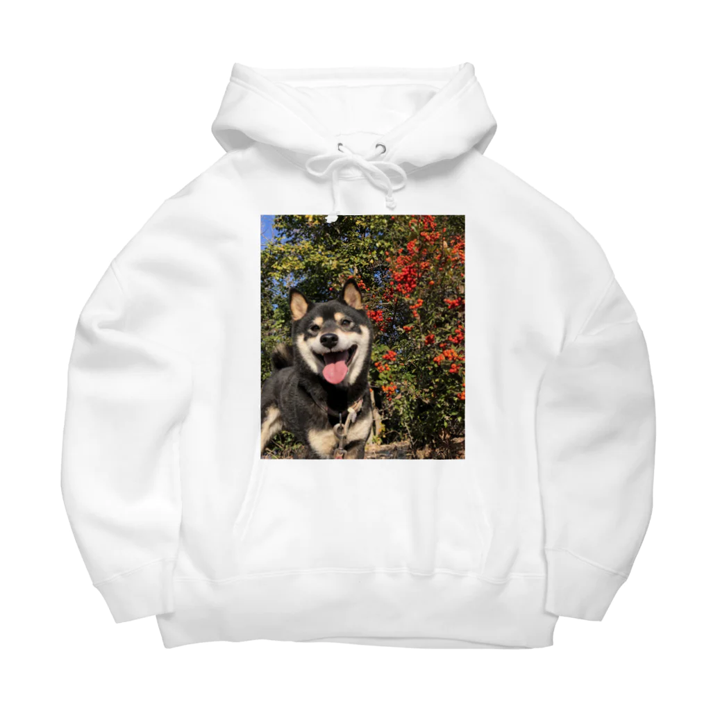 柴犬けんたろー。の柴犬のけんたろー Big Hoodie