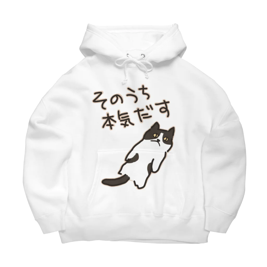 ミナミコアリクイ【のの】のそのうちそのうち【ねこ】 Big Hoodie