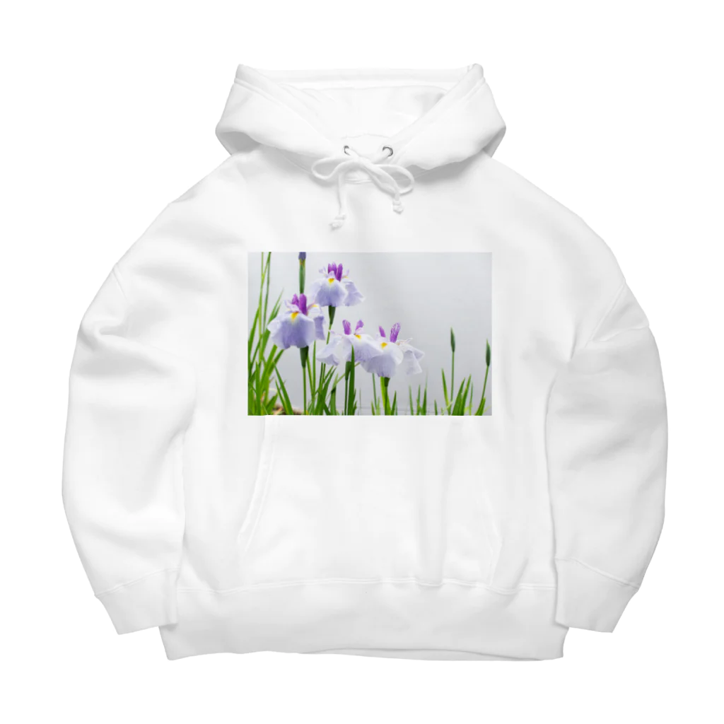 akane_art（茜音工房）の癒しの風景（花菖蒲） Big Hoodie