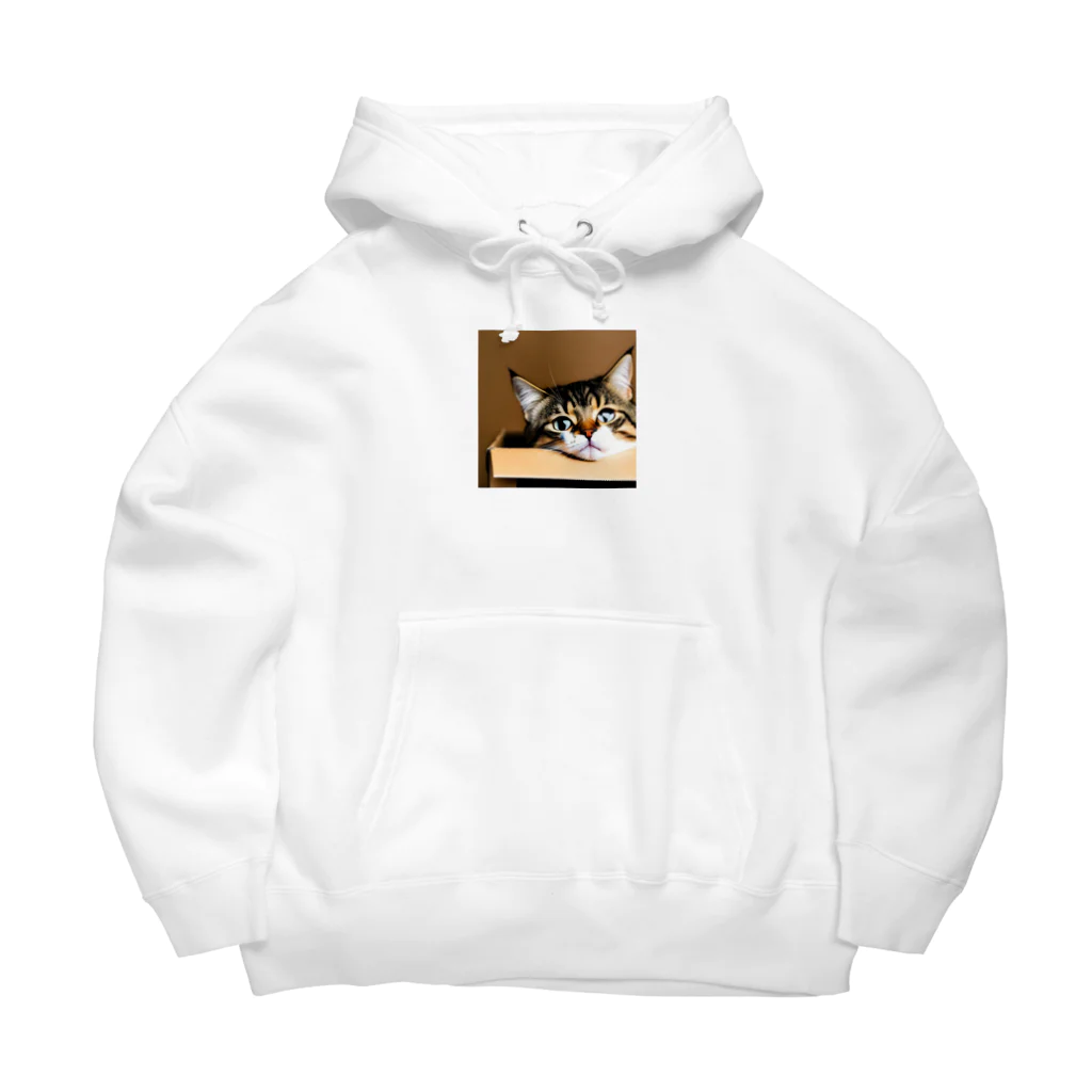 チェリオの箱に入った可愛い猫 Big Hoodie