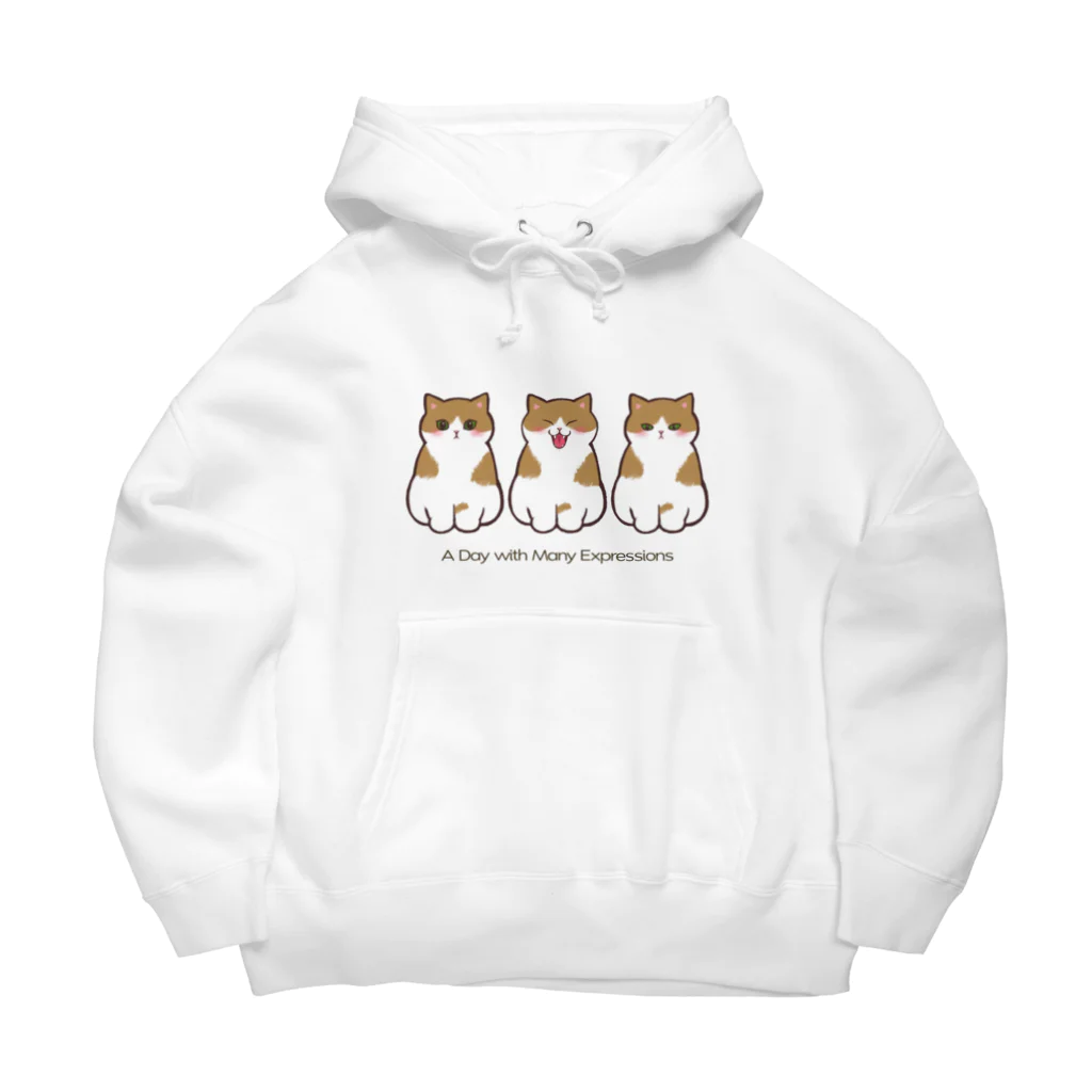 ふわにゃんshopのねこの一日 Big Hoodie