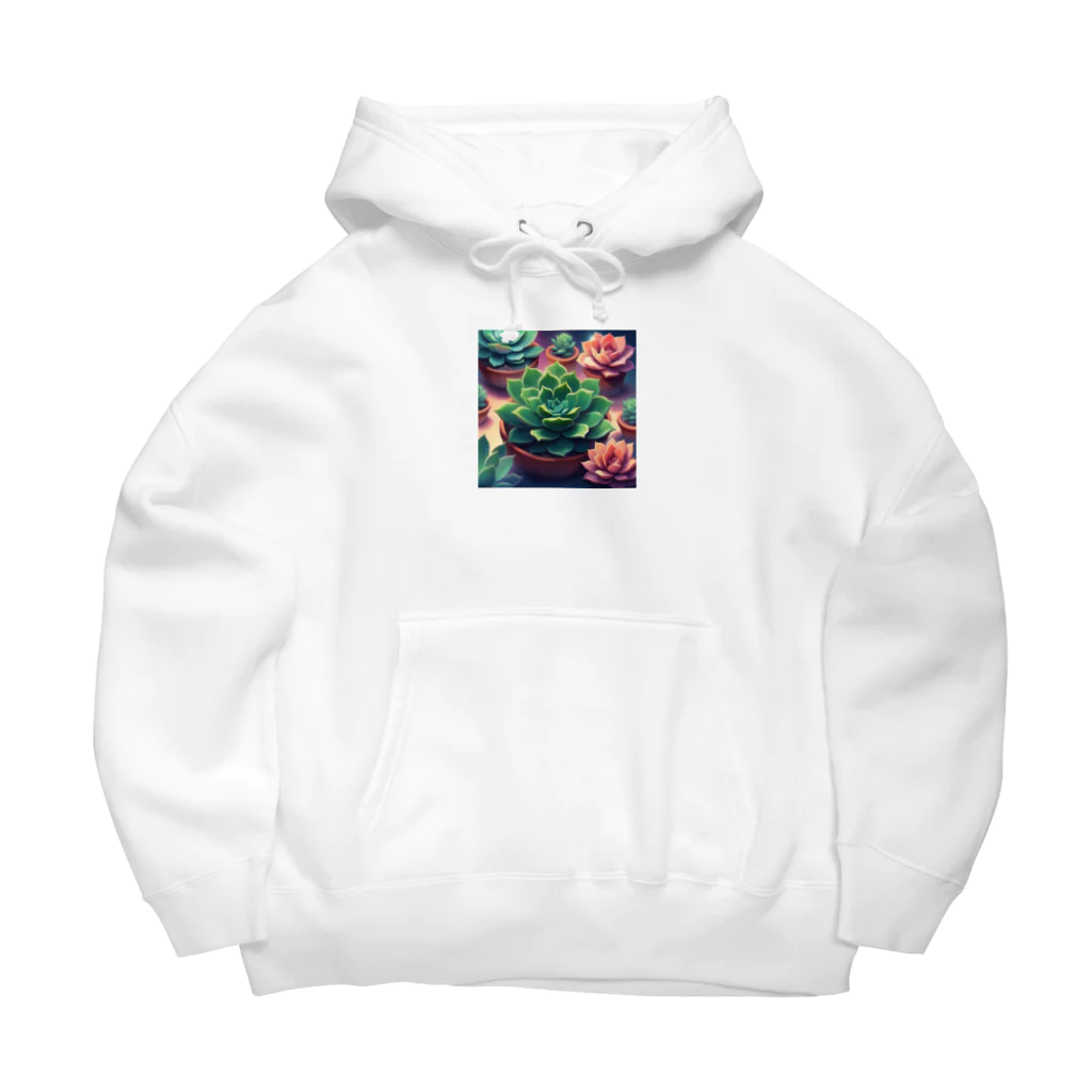 matu0の多肉植物のある暮らし Big Hoodie