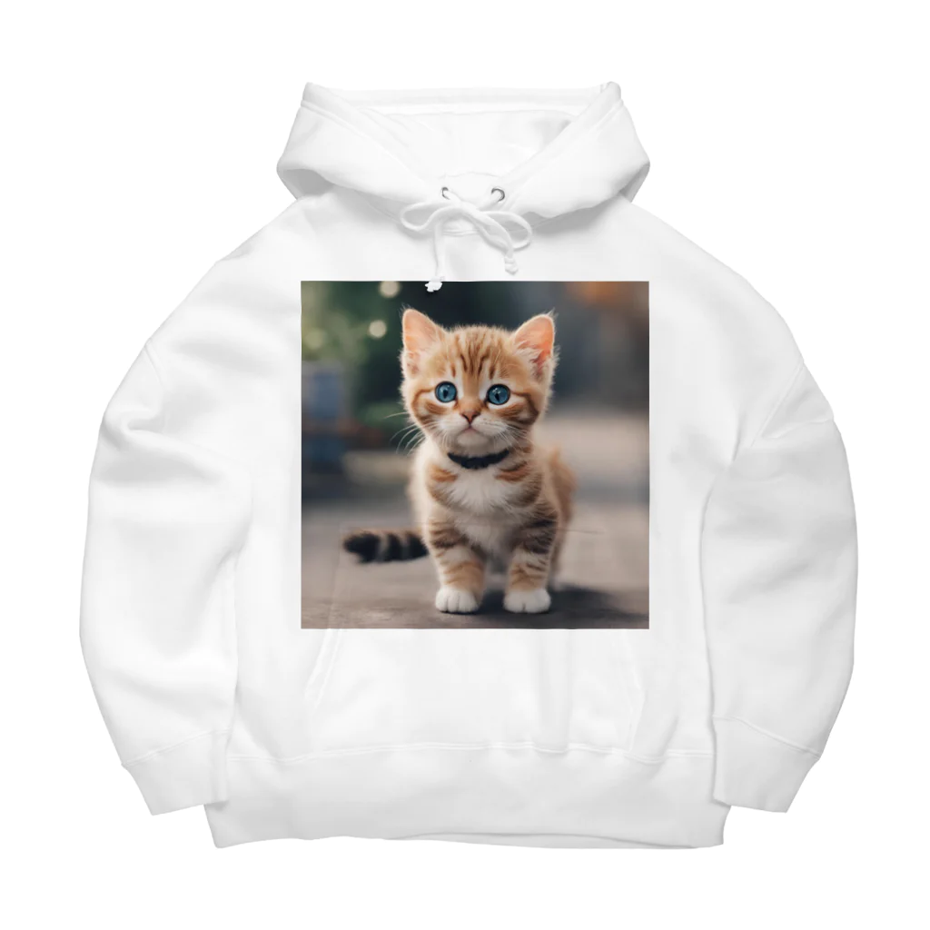 ラディアンス・ストアの可愛い猫ちゃん Big Hoodie