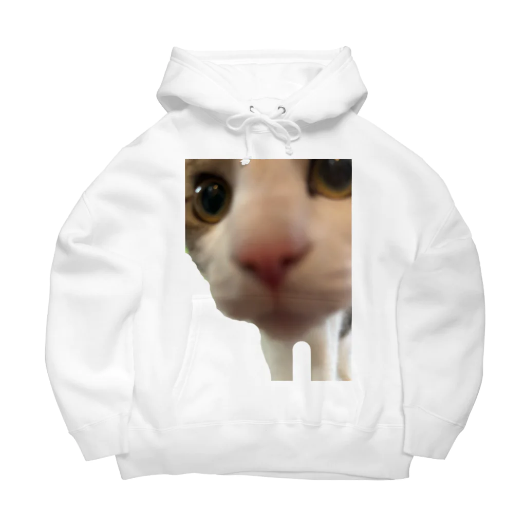 いやし猫　ふぁにーきゃっとのいやし猫　無限ちゃん Big Hoodie