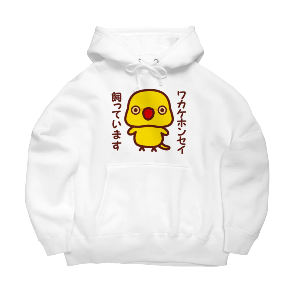 いんこ屋堂のワカケホンセイインコ飼っています（ルチノー/メス） Big Hoodie