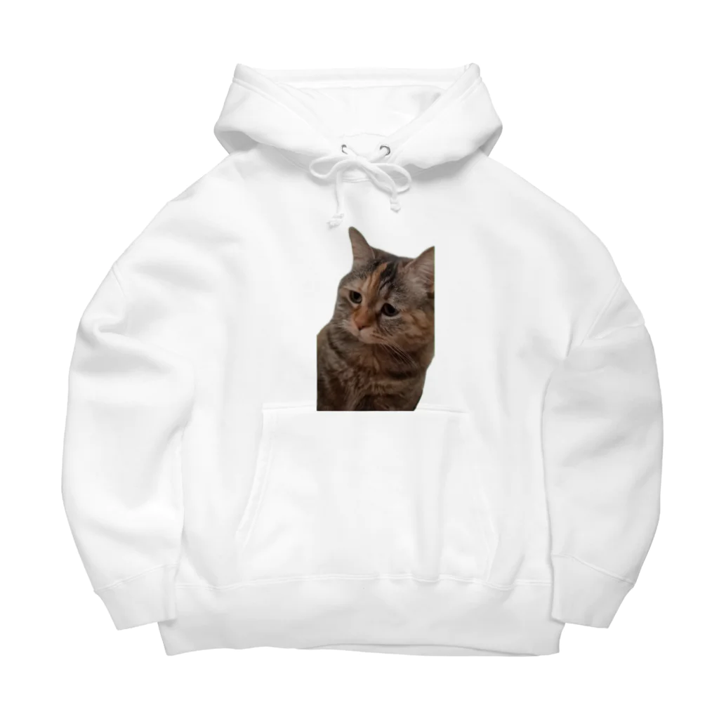 猫ミームグッズの【猫ミーム】叱られる猫 Big Hoodie