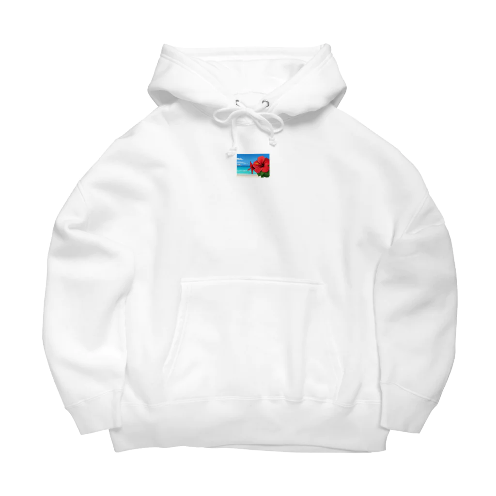 kaiminsapoのハイビスカス　リゾート　🌺　🏝️ Big Hoodie