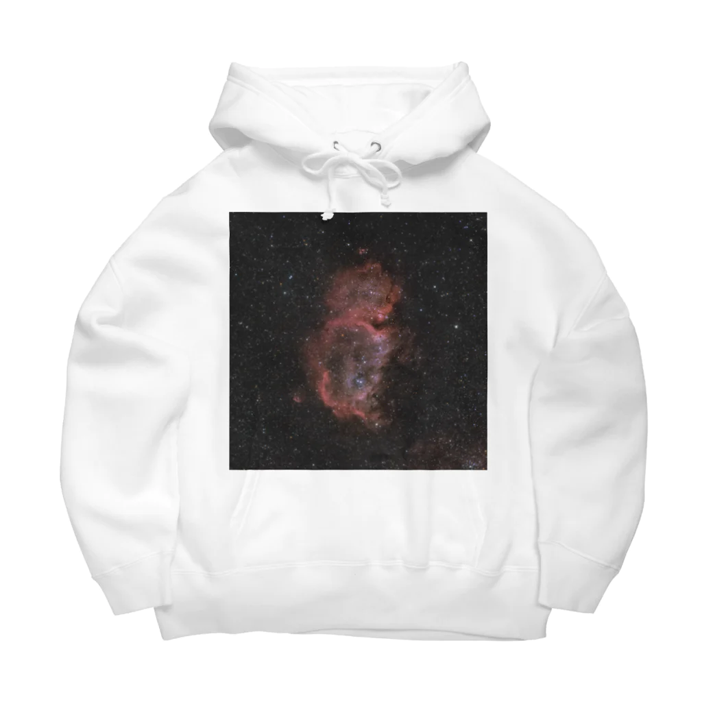 S204_Nanaの胎児星雲 Big Hoodie