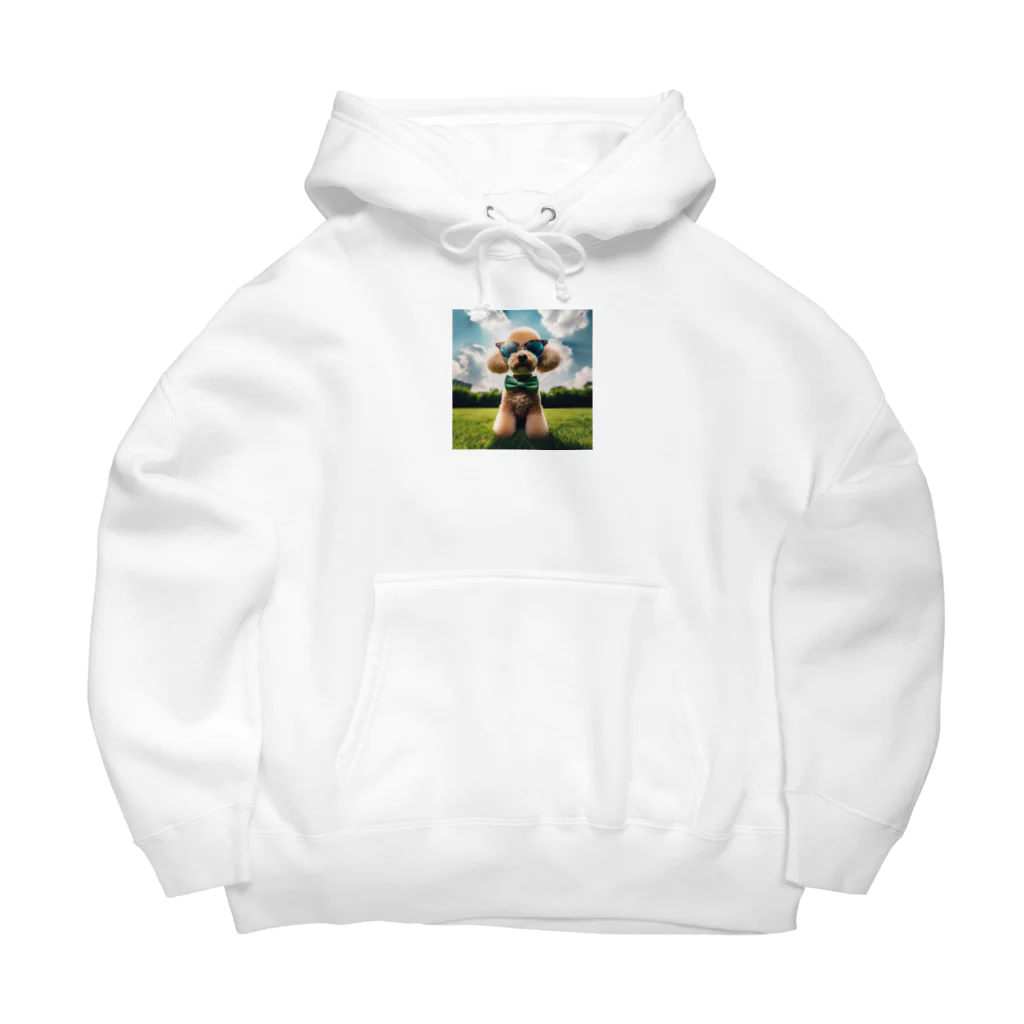 chibita08のグラサンプードル Big Hoodie