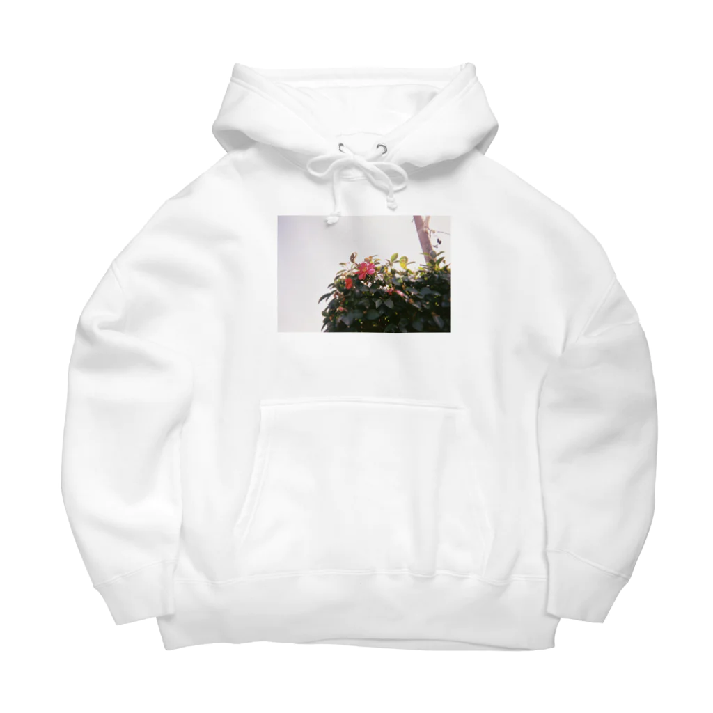 こここのどこかの花 Big Hoodie