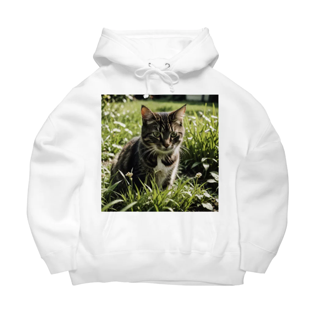 安達聖也の草むらの猫 Big Hoodie