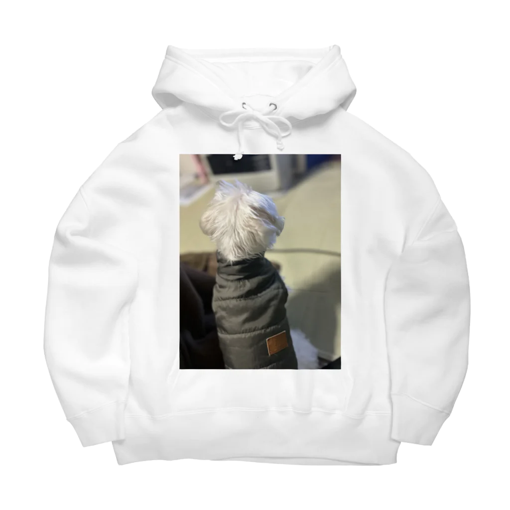 S2.カンパニーのアポロくんです！ Big Hoodie