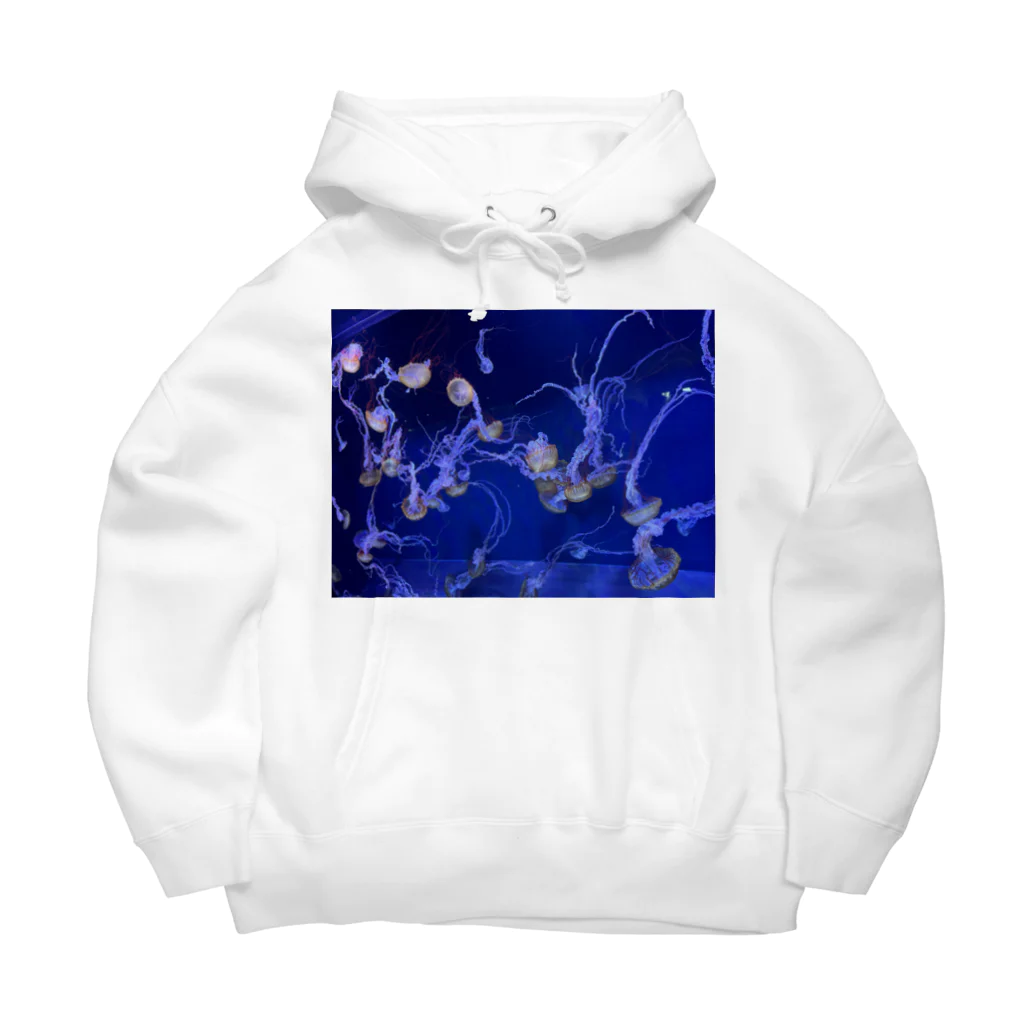 波乗り南国🏝️のゆらゆらクラゲくん Big Hoodie