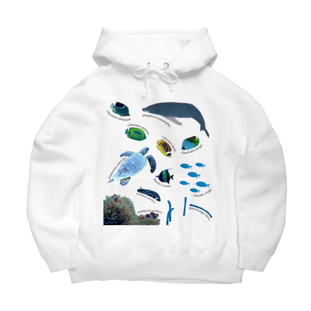 L_arctoaの沖縄の海の生き物 Big Hoodie