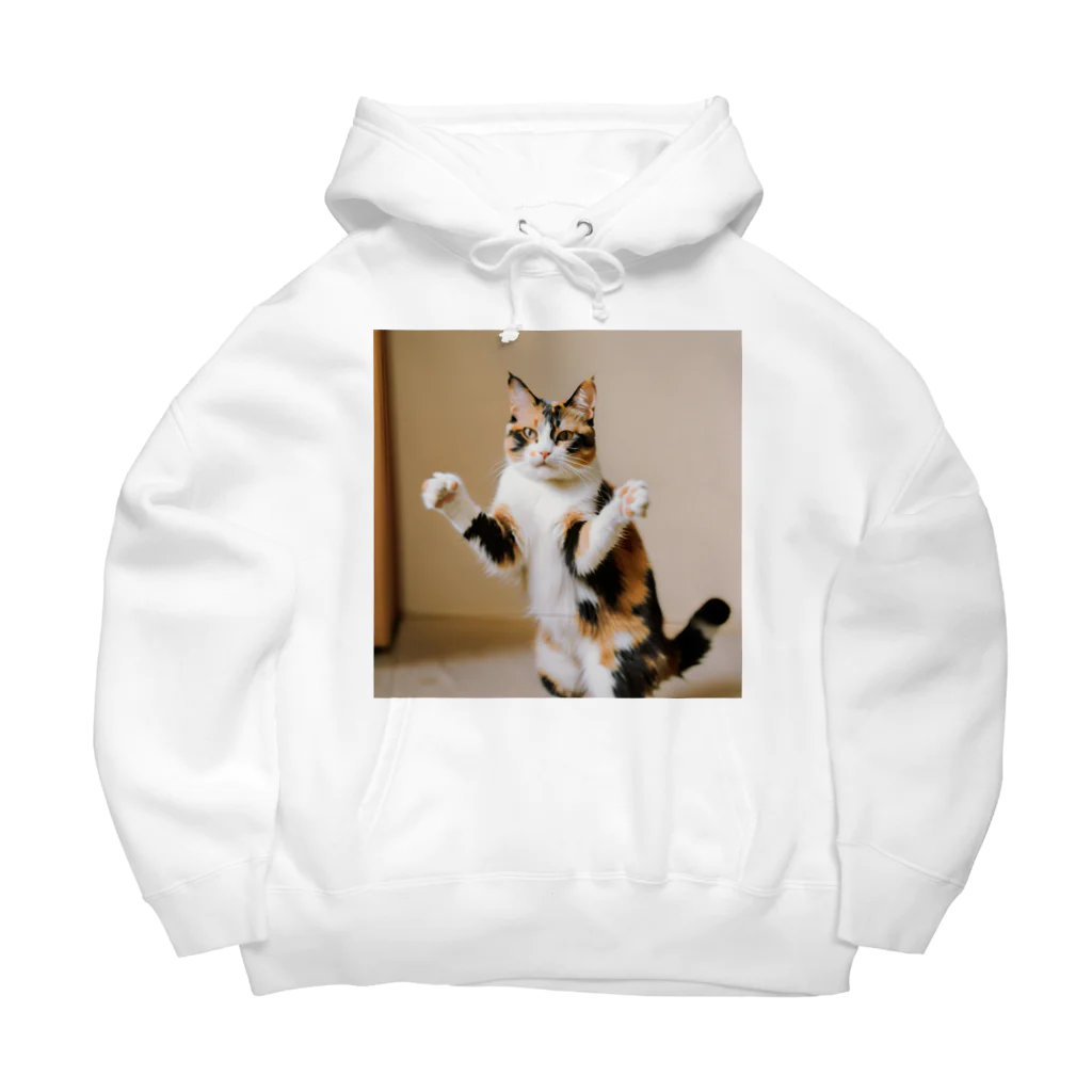 shadowshadowの三毛猫 Big Hoodie