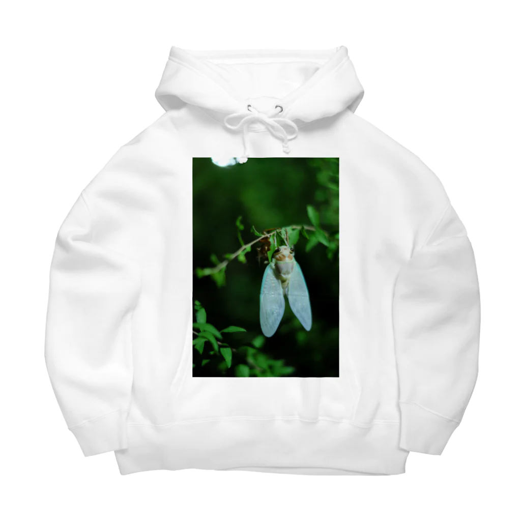 Su Shopのセミ Big Hoodie