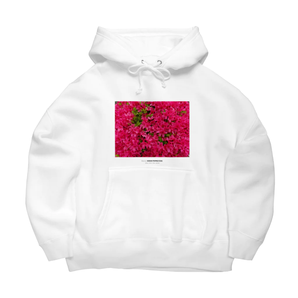 筋子オニギリのツツジのお花T part2 Big Hoodie