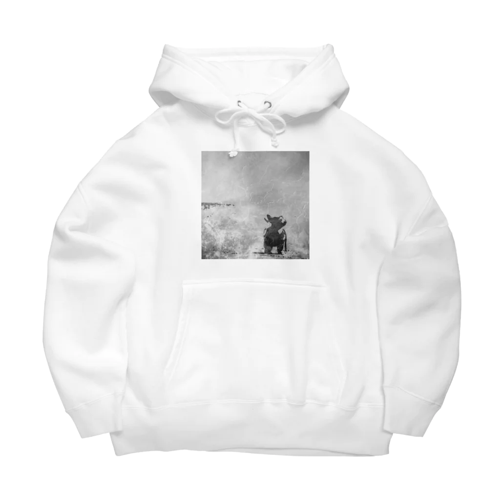 D7C7DC?B1の海辺を散歩するチワワ Big Hoodie