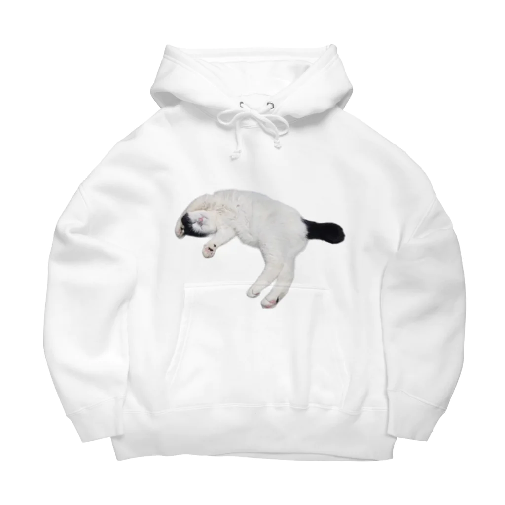 クリスタの尻尾が短い保護猫 たぬちゃん Big Hoodie