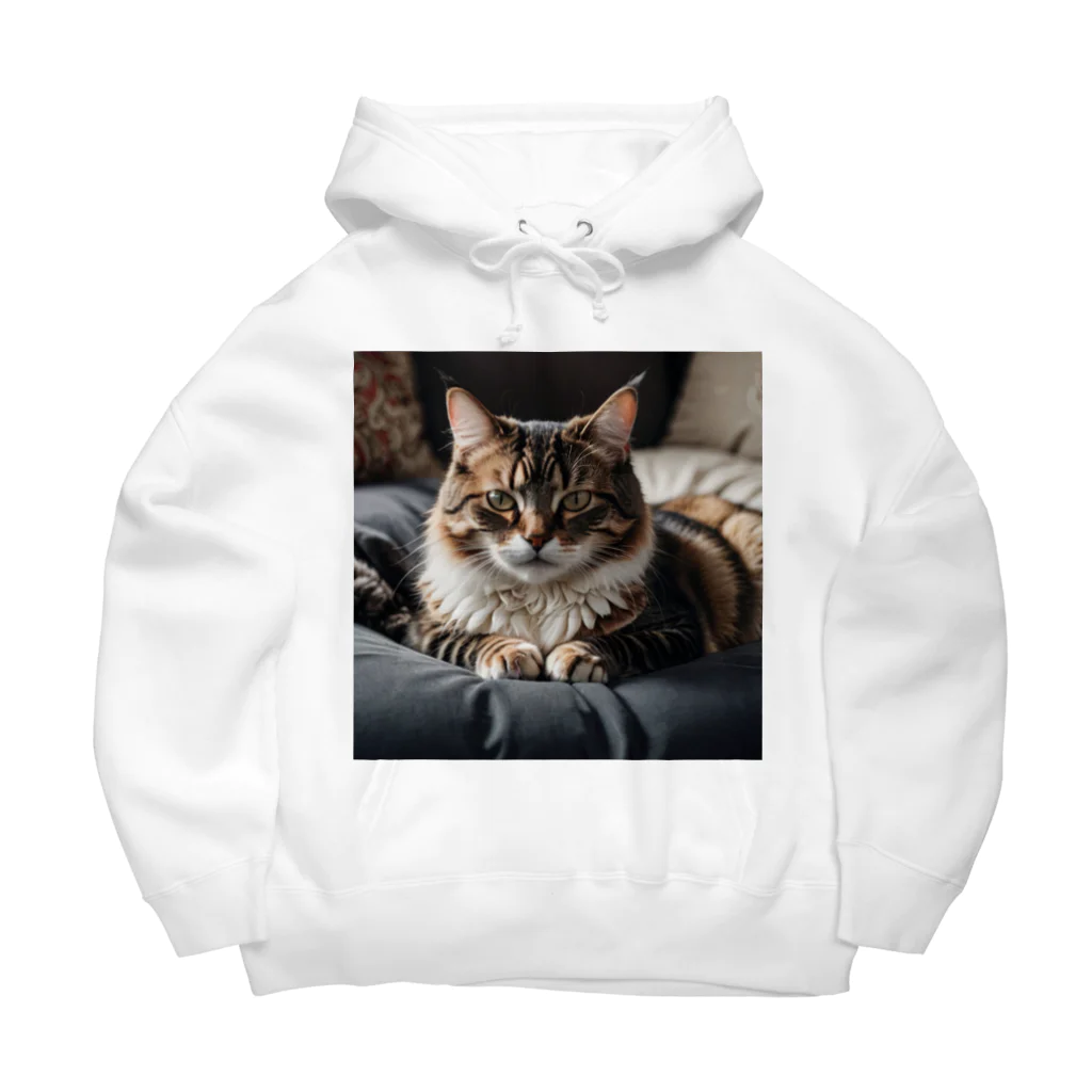 zigerparkのクッションと猫 Big Hoodie